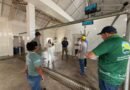 Ministério Público e Prefeitura de Nhamundá firmam acordo para regularização de abatedouro municipal