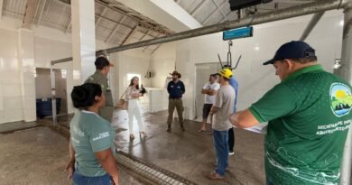 Ministério Público e Prefeitura de Nhamundá firmam acordo para regularização de abatedouro municipal