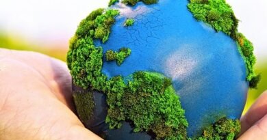 Desenvolvimento sustentável exige compromisso com as futuras gerações