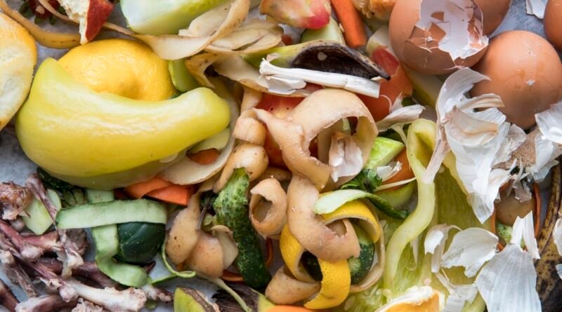 Pacto une setores para combater desperdício de alimentos