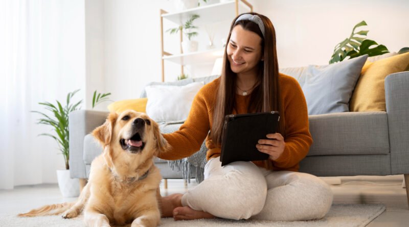 PetCerto: plataforma compara preços de produtos para pets