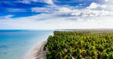 Bahia recebe cinco certificações do programa Bandeira Azul