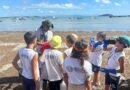 Amanrasa amplia ações sustentáveis em Búzios e realiza mutirão de limpeza