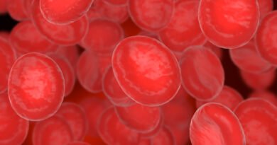 Novo tratamento para mieloma múltiplo é aprovado pela Anvisa