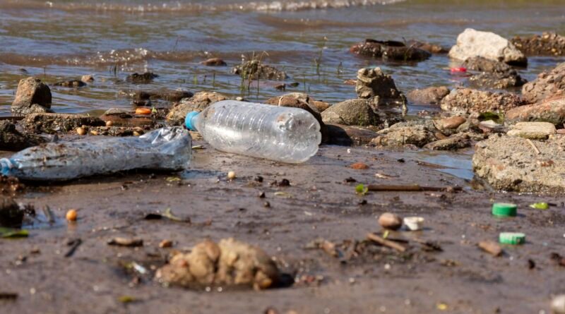 Humanidade gera mais de 400 milhões de toneladas de plástico