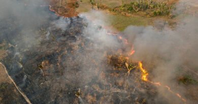 Documentário ‘Amazônia na Linha do Fogo’ é lançado nesta quarta na COP30
