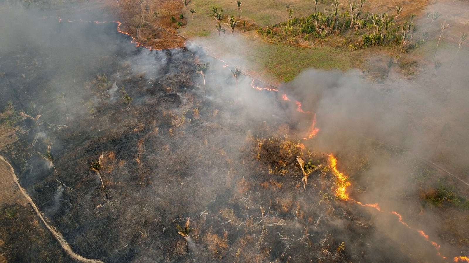 Documentário ‘Amazônia na Linha do Fogo’ é lançado nesta quarta na COP30
