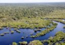 Cientistas da Alemanha e do Brasil participam do 2º Simpósio Amazônia 2030 na Universidade Nilton Lins