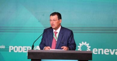 Braga explica como a MP 1304 ajuda a organizar o sistema elétrico e evita aumento na conta de luz