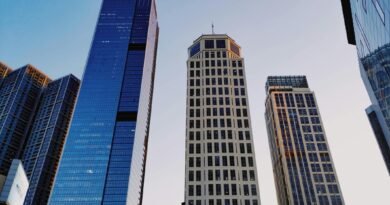 IBRI realiza 5ª edição da Semana do RI