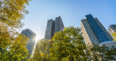 ESG segue como prioridade para empresas brasileiras