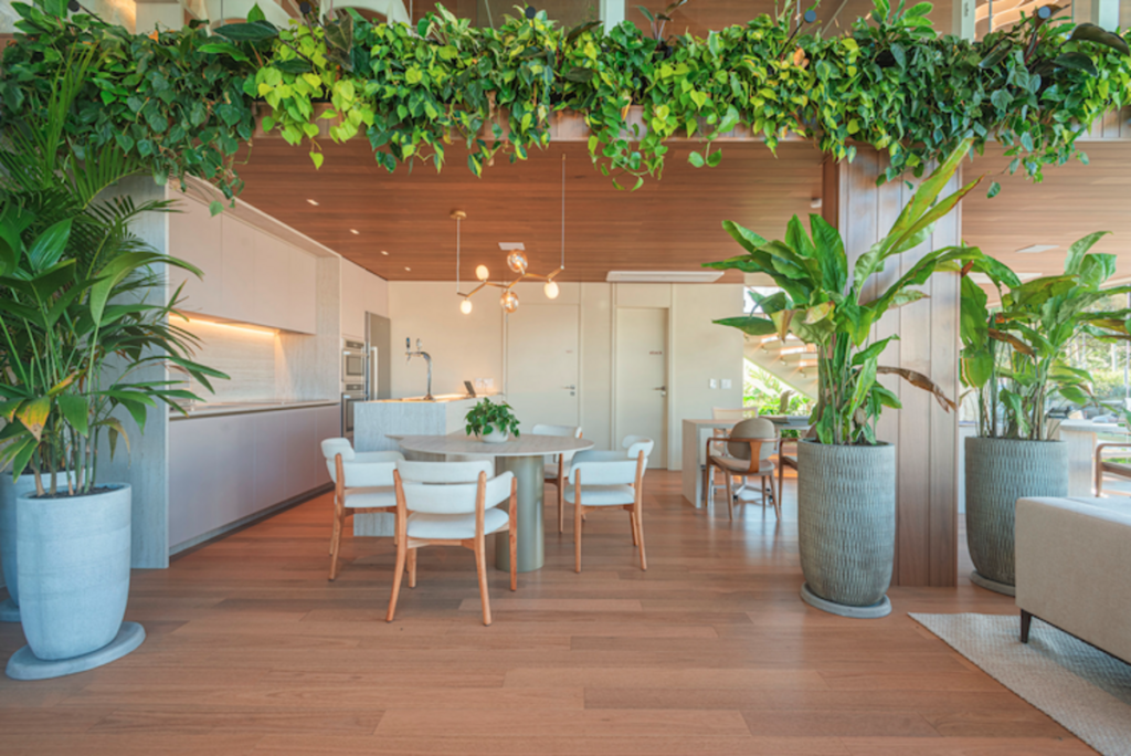 Arquitetura prioriza inovação e soluções atemporais