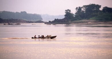 Concessão do Rio Madeira: modelo busca eficiência logística e sustentabilidade
