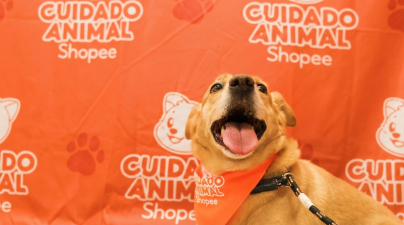 Shopee se une à Ampara Animal pelos cuidados aos animais