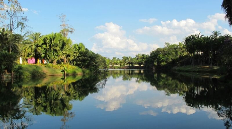 Inhotim projeta Minas Gerais no cenário internacional