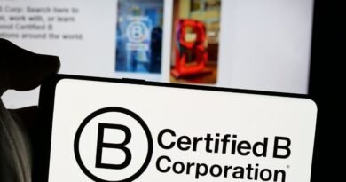 Como as Empresas B têm se diferenciado no mercado