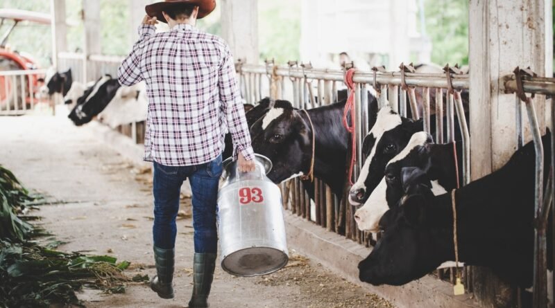 Escovas técnicas em nylon impulsionam higiene e eficiência na pecuária leiteira