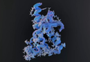 IA acelera pesquisas com peptídeos na medicina