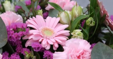 Giuliana Flores inaugura loja boutique em Campinas