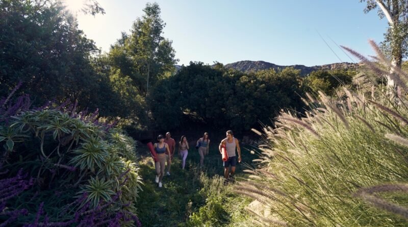 Yoga cresce com o setor de bem-estar no país