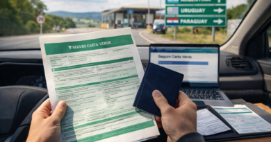Guias de 2026 reforçam a busca por Seguro Carta Verde online