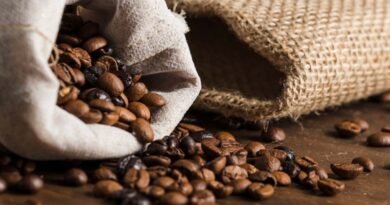 Minas Gerais reforça protagonismo na produção de cafés