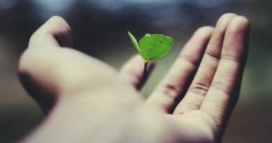 Solera recebe prêmio por tecnologia climática no reparo