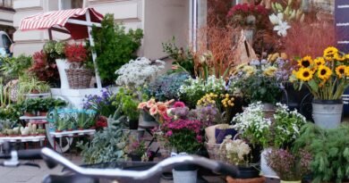 Giuliana Flores prevê mais de 50 novas franquias em 2026