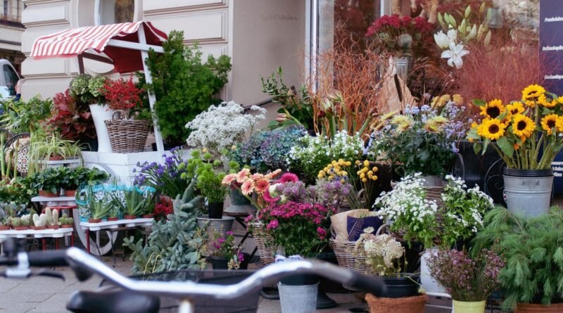 Giuliana Flores prevê mais de 50 novas franquias em 2026