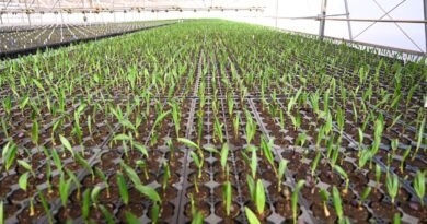 Iniciativas de empresas impulsionam gestão hídrica no Brasil