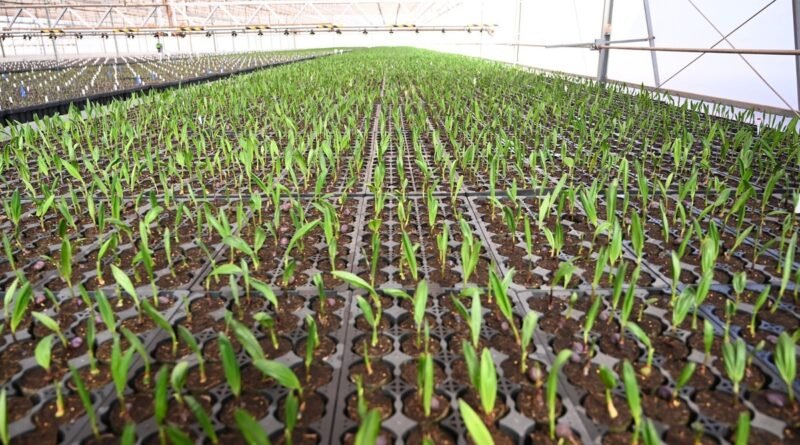 Iniciativas de empresas impulsionam gestão hídrica no Brasil