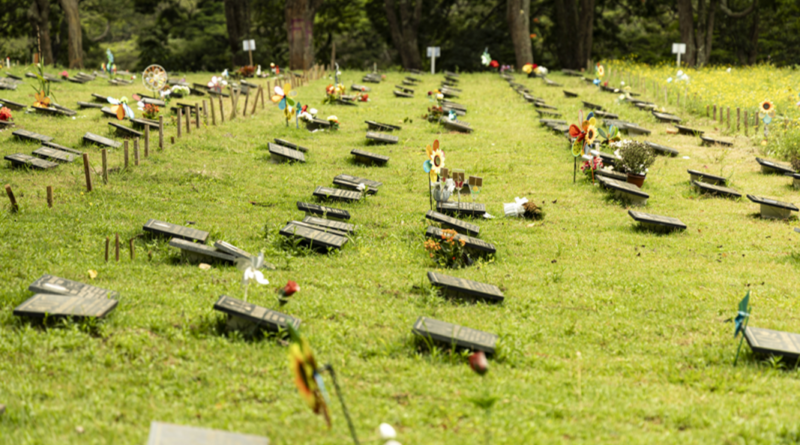 Concessão de Cemitérios de São Paulo completa três anos
