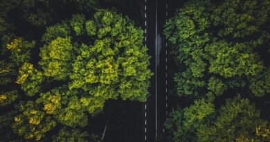 Empresas se adaptam às novas exigências de sustentabilidade