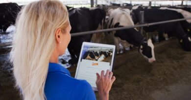 Canetas emagrecedoras impulsionam consumo de proteína