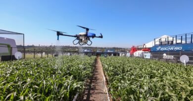 Agronegócio tem a melhor reputação corporativa do Brasil