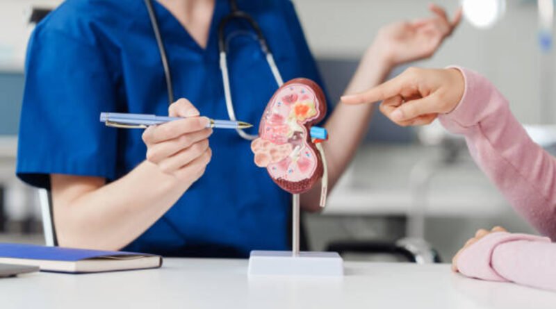 Doença renal pode ser importante causa de morte até 2040