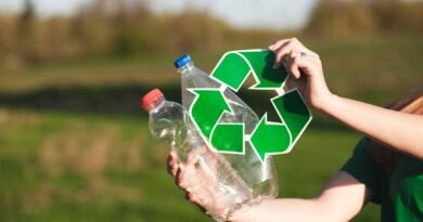 Economia circular envolve a redução de resíduos e a reutilização de materiais