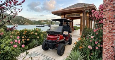 Ecoolmove lança garantia de recompra de carrinhos elétricos