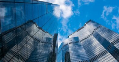 IFRS S1 e S2 ampliam risco regulatório a partir de 2026