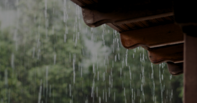 Calor e chuva aceleram avanço da dengue no país