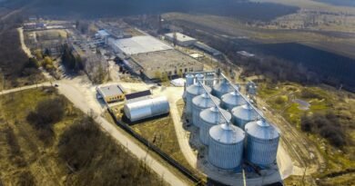 Biocombustíveis aceleram decisões de integração industrial