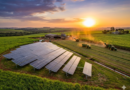 Energia solar transforma produtividade do agronegócio