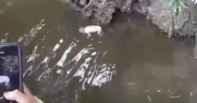 Bebê recém-nascido é encontrado sem vida e caso gera indignação nas redes sociais