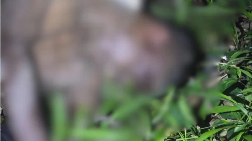 Corpo de homem é encontrado em área de mata na zona Oeste de Manaus