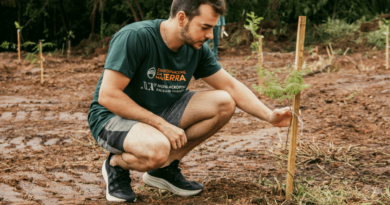 Dia da Terra: Nova Acrópole promove diálogos com cientistas