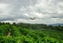 Relatório global DJI comprova benefício ambiental dos drones