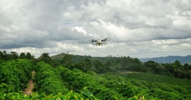 Relatório global DJI comprova benefício ambiental dos drones