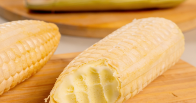 Jungkook impulsiona tendência global com sorvete de milho