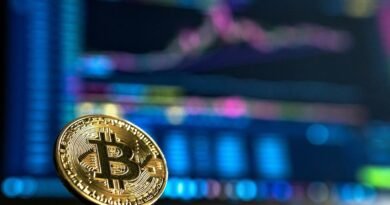Ripio orienta como declarar criptoativos no Imposto de Renda