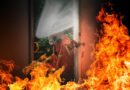 Incêndios em alta reforçam importância das brigadas